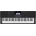 Casio CT-X700