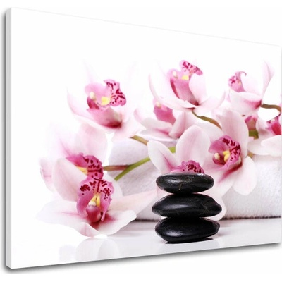 Obraz na plátne FENG SHUI_047-11 - 30x40 cm