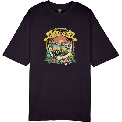 Santa Cruz Winkowski 8Baller Trip Front Black