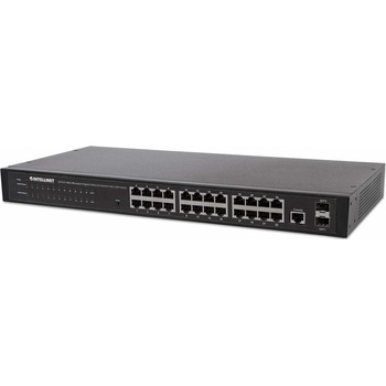 Intellinet 560917