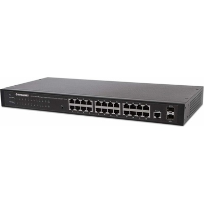 Intellinet 560917