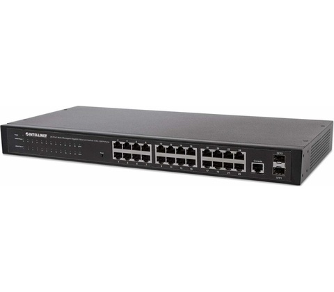 Intellinet 560917