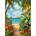 Enjoy - Puzzle Discovery - 1 000 piese