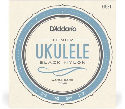 D'Addario EJ53T