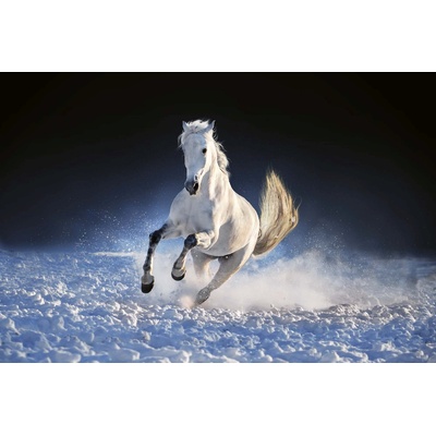 DIMEX ART Флизелинов фототапет кон тича през снега 375 x 250 см
