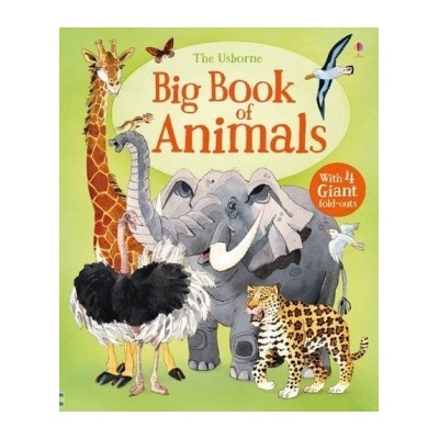 Big Book of Animals Big Books Hazel Maskell, Fabiano Fiorin Hardcover