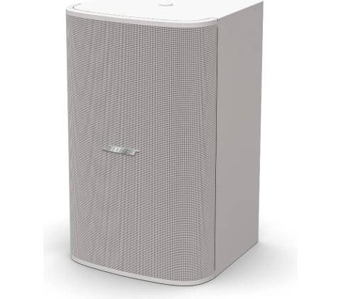 Bose DesignMax DM10S-Sub