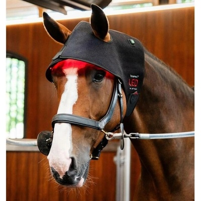 HORSEWARE LED Red Light Therapy Poll Cap černá