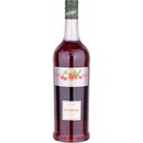 Giffard brusinkový sirup 1 l