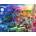 Ravensburger - Puzzle The colorful Cinque Terre - 2 000 piese