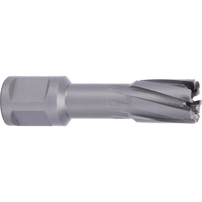 !!!! ABSE N-CA-W19-0185035