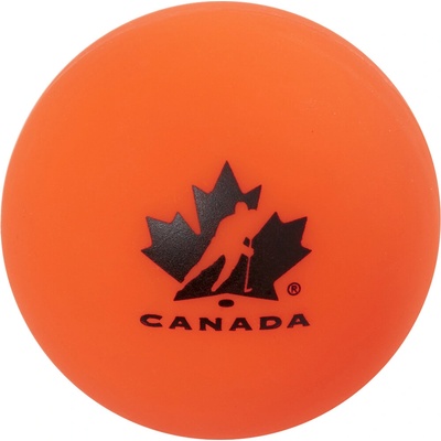 Winnwell Team Canada carded
