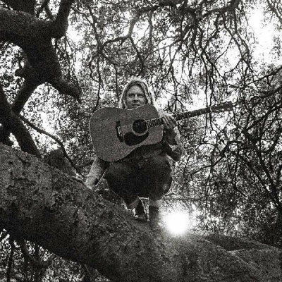 Hello, Hi - Ty Segall LP
