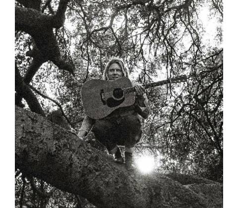 Hello, Hi - Ty Segall LP