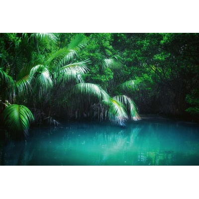 DIMEX ART Флизелинов фототапет мангрова дъждовна гора 375 x 250 см