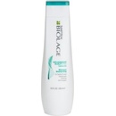 Matrix Biolage ScalpSync Anti Dandruff Shampoo 250 ml