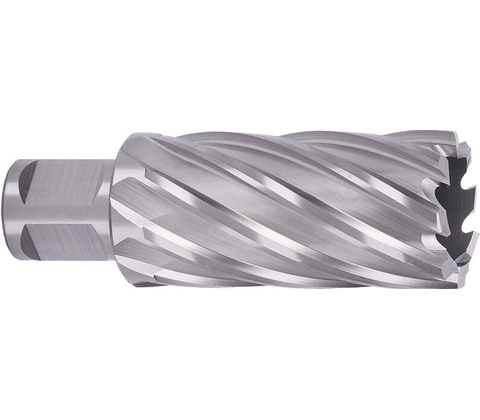 ABSE N-HS-W19-0250050