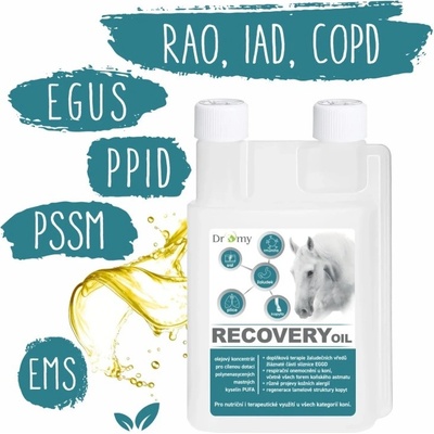 Dromy Recovery oil 1 l