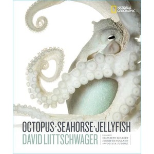 Octopus, Seahorse, Jellyfish (ISBN: 9781426221798)