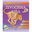 Živočíšna ríša