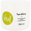 Stapiz Vital Repair Dual Hairtip Mask 60s 500 ml