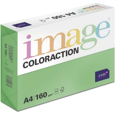 Image Coloraction A4 80 g Tmavě zelená 100 ks