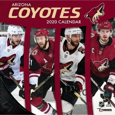 JF Turner Arizona Coyotes NHL Wall 2020