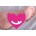 Paloqueth Realistic Feet with Vagina Left