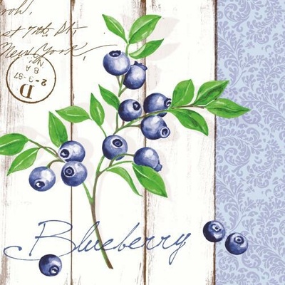 Mank Blueberry servítky z netkanej textílie 40x40cm 50ks