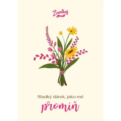 Přání - Promiň