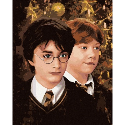 zuty Malování Podle Čísel Harry Potter A Ron Weasley Vánoce 40 x 50 Cm Plátno 8596530239000
