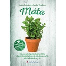 Máta