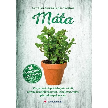 Máta