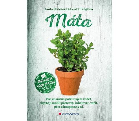 Máta