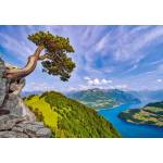 Castorland - Puzzle View of the Lake of Uri, Switzerland - 1 000 piese