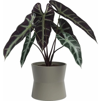 Artevasi Керамична саксия за цветя ø 20 cm Diana - Artevasi (ZAC-848632)