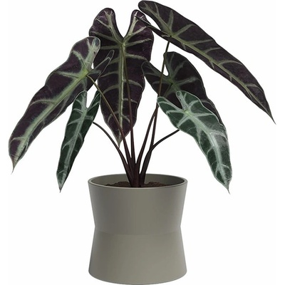 Artevasi Керамична саксия за цветя ø 20 cm Diana - Artevasi (ZAC-848632)