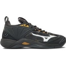 Mizuno WAVE MOMENTUM 2 v1ga2112-41