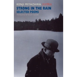 Strong In the Rain | Kenji Miyazawa (2008)