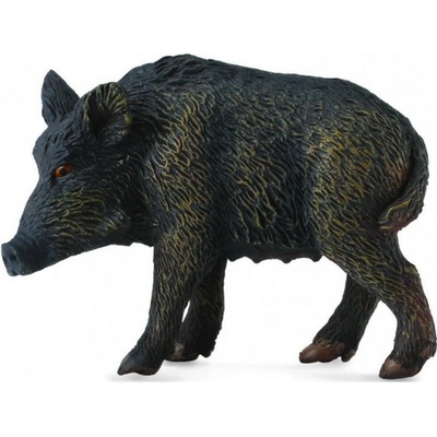 Collecta Diviačica