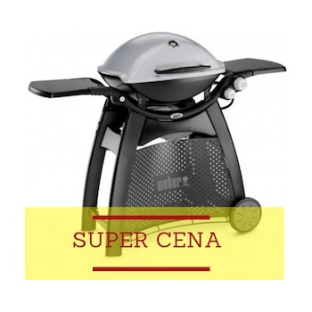Weber Q 3000