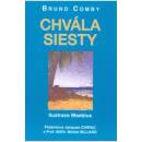 Chvála siesty - Bruno Comby