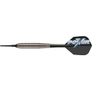 Target Power Silverlight Phil Taylor 18 g