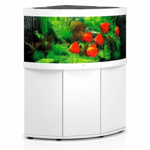 JUWEL Аквариум с поставка JUWEL Trigon 350 LED - бял (8041)