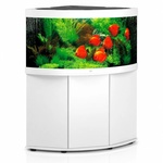 JUWEL Аквариум с поставка JUWEL Trigon 350 LED - бял (8041)