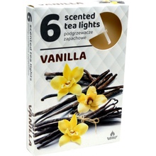 Admit Tea Lights Vanilla 6 ks