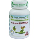 Planet Ayurveda CISSUS POWER 60 kapsúl