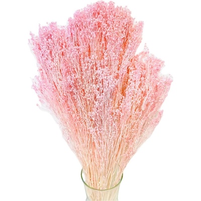 Stabilizovný Broom Bloom světle růžový, kytice/svazek 50g