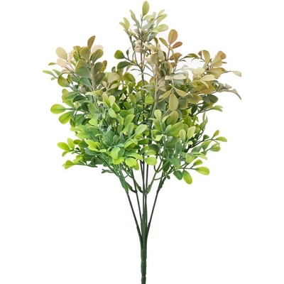 ZELEŇ DROB. LÍSTKY ZELENO-MARHUĽOVÁ 34CM