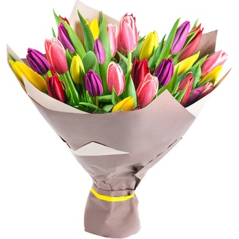 Farebné tulipány: 13